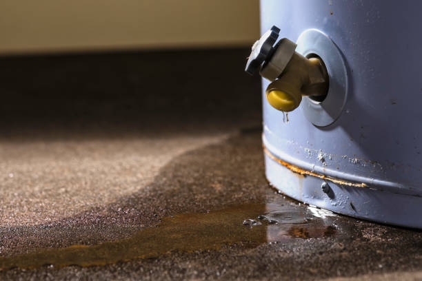 Best Sewage cleanup and water damage restoration  in Clayco, MO