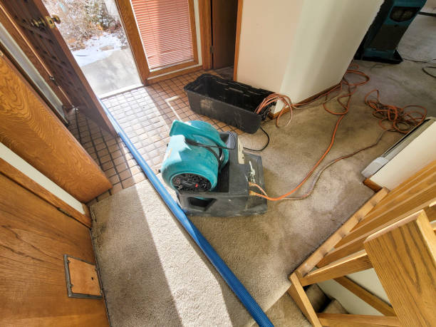 Best Emergency water damage restoration  in Clayco, MO