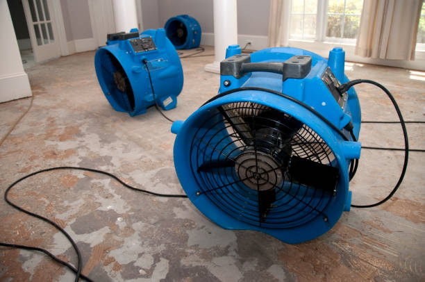 Best Basement water damage restoration  in Clayco, MO