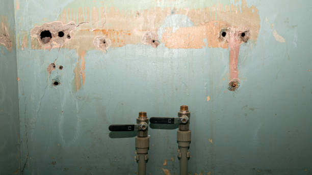 Best Commercial water damage restoration  in Clayco, MO
